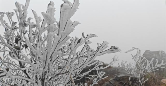 立春时节金子山迎瑞雪，春雪如诗画美景