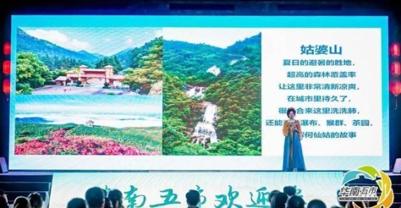 2024华南五市文化旅游联盟推介活动在洛阳圆满举办