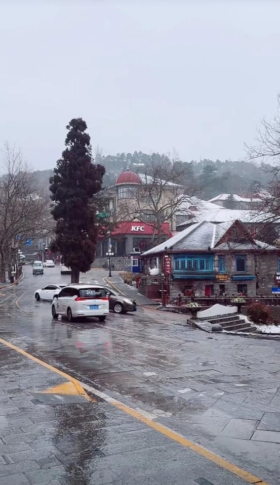 庐山雪景与交通管制：一场冬日的雪景盛宴与安全挑战