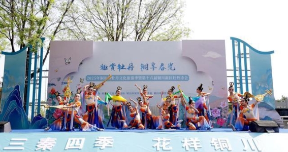 2025年铜川市牡丹文化旅游季暨第十六届铜川新区牡丹诗会盛大举行