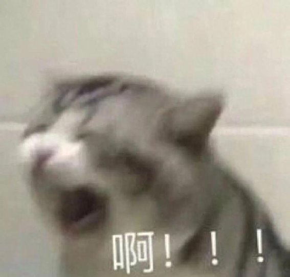 长期素食为何会加重脂肪肝