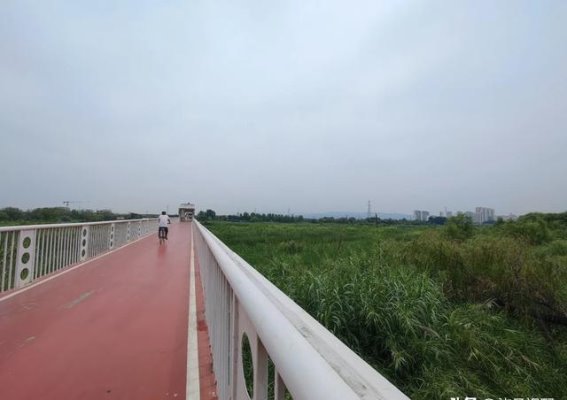 探秘西安灞桥生态湿地公园：原始森林中的骑行之旅近日，我有幸前往西安灞桥生态湿地公园，这片被誉为原始森林般的自然宝地。公园位于西安市灞河城市段中游，规划面积达6.75平方公里，分两期建设，其中一期已初见雏形，展示出独特的湿地景观和丰富的自然生态。在这次探访中，我沿着三河一山绿道，一路骑行，探寻公园内的独特景点和人文风貌。