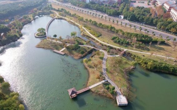 玉兰公园共享绿地开放，苏州又添休闲好去处