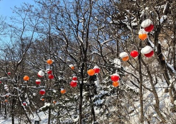 黑土地上的雪与光，千山的冬日童话