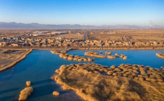 宁夏这5大怪菜”，当地人吃不腻，外地人：不好意思，不敢下嘴