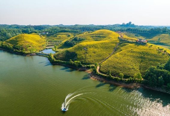 航拍光山：茶山之间的自然诗篇