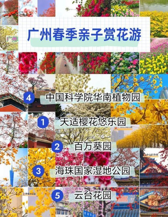 广州春季亲子赏花游玩全攻略