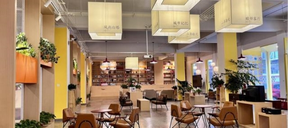 盘龙：理想城中的生活密码