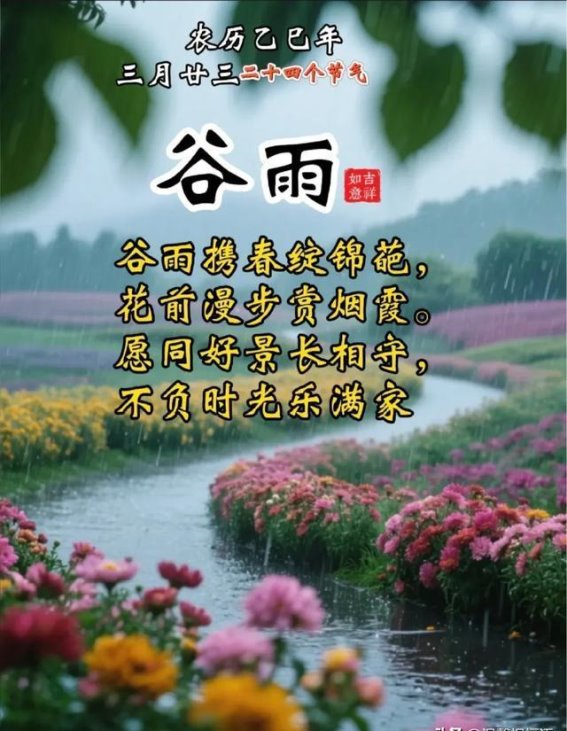 谷雨时节的细雨与生机