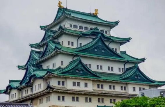 国门之下的旅游业对比：中日韩上半年游客数据解析