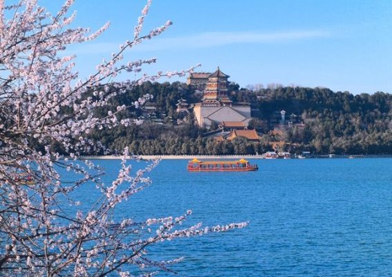北京市属公园春游活动开启 40余处踏青赏花经典场所推荐