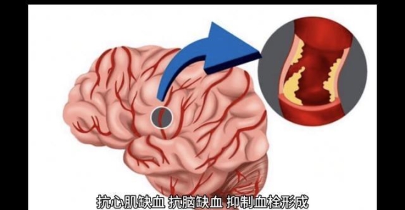 复方丹参滴丸、银杏叶片、麝香保心丸的长期服用安全性与疗效分析