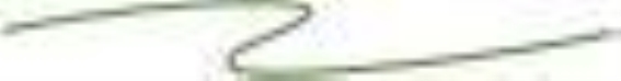 癌症治疗中的白细胞管理：不同治疗时期的升白策略与时效性分析