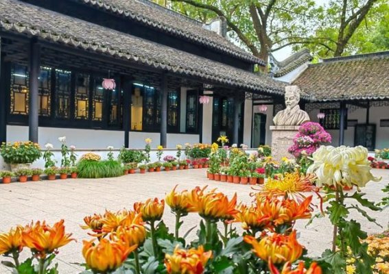 秋日醉白池：菊花盛宴与文化交融