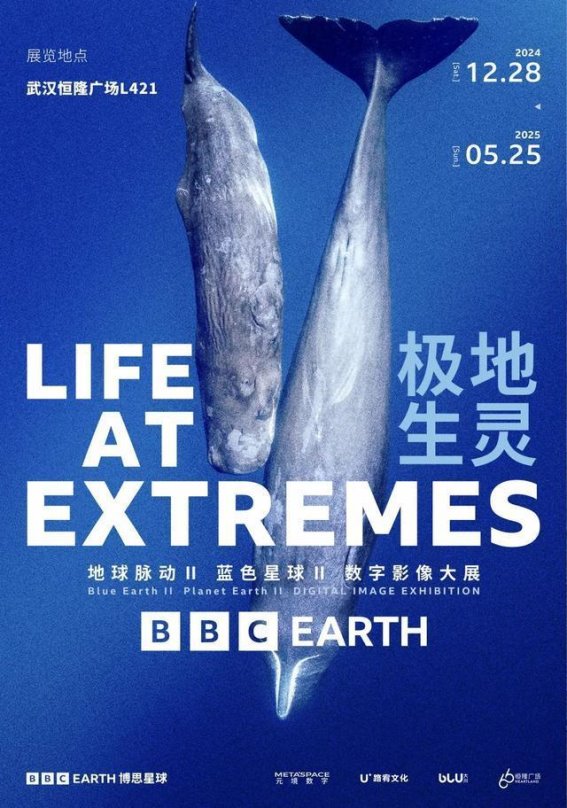 寒假来临，武汉精彩活动等你加入