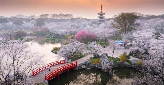 湖北省加快推动一流旅游品牌建设 打造世界级文化旅游目的地
