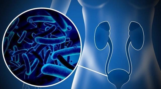 肠道菌群失调与肛肠疾病：科学调理，恢复健康平衡