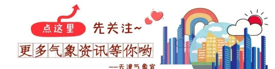2025年5月花粉过敏防护指南：如何应对高浓度花粉季节