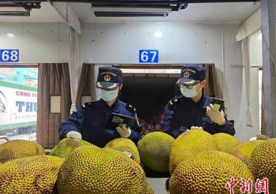 中越边境友谊关口岸五一假期通关高效不打烊