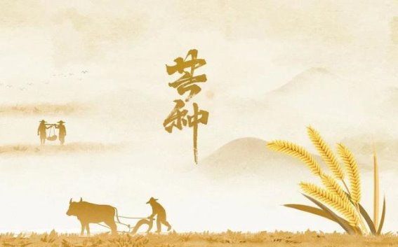 芒种节气养生的秘诀：平衡阴阳，调养身心