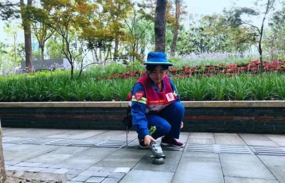 外国游客点赞上海城市清洁的背后：细致入微的“绣花”精神