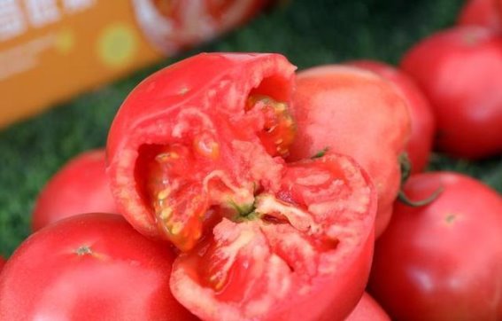 芒种节气宜调节内热，这4种食物被医生称为“天然调频器”