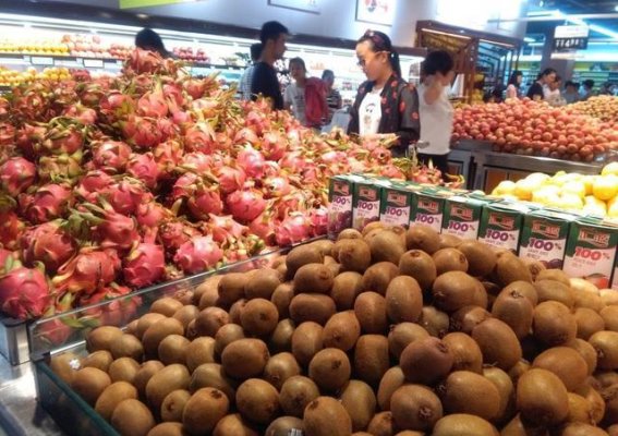 又起波澜！胖东来“鲜切石榴中有蛆虫”事件引发网络热议