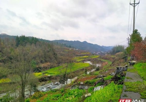 家乡的油菜花，春天的温情岁月