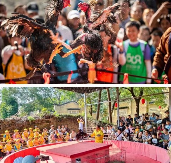 来大余湾赴一场稻田之约，邂逅属于初夏的田园幻梦