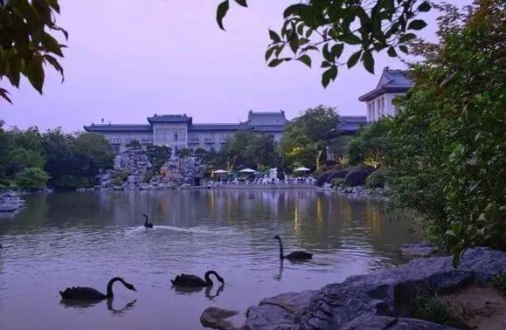 国宾馆的新风潮：00后为何爱上这个“老字号”