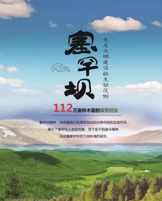 中国的绿色奇迹：科技与全民力量共同打造的生态丰碑