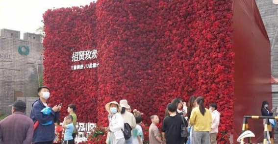 玫瑰绽放的古城：莒县农文旅融合助力乡村振兴