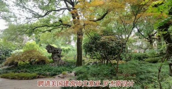 探访上海滩的百年传奇：丁香花园的历史与文化魅力