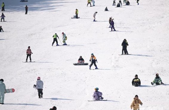 靖安滑雪场：挑战速度与激情的冰雪天堂