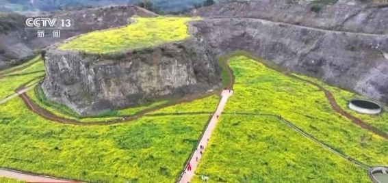 重庆巴南废弃矿坑变油菜花海，春日美景吸引游客纷至沓来