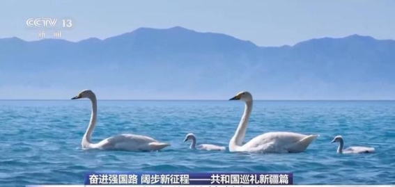 穿越天山南北，探寻大美新疆的壮丽风光