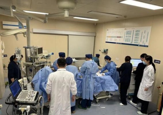 误食“生附子”，杭州男子险遭不测：冬季进补需谨慎
