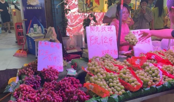 从东北到云南：十个关于云南的疑问，我终于找到了答案