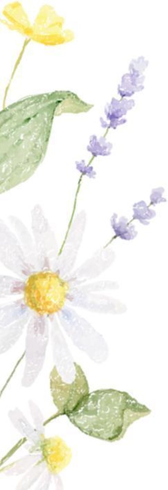 谷雨时节，花开正盛