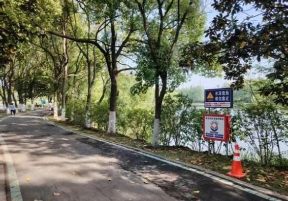 大蜀山西扩景区以植物巧护道路安全 实现生态与安全双赢