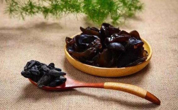 警惕肺病的“隐形杀手”：橘子与日常饮食对肺健康的深远影响