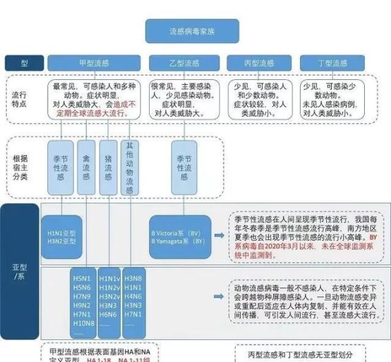 流感高发季节，甲型H1N1引起广泛关注