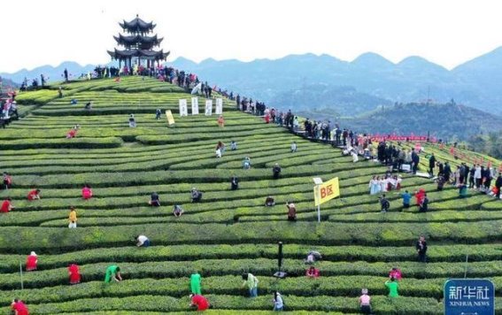 旅游出行需预先规划，避免“人在囧途”