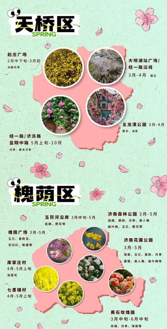 泉城春日花海之旅：追寻心灵的春色