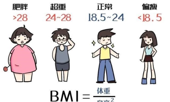 减肥不再是个人战，国家出手助力科学减脂