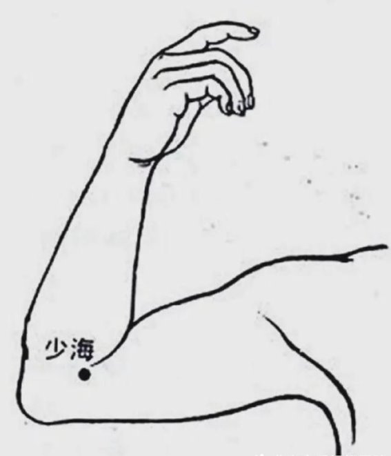 大雪节气养生指南：顺应自然，安然度冬