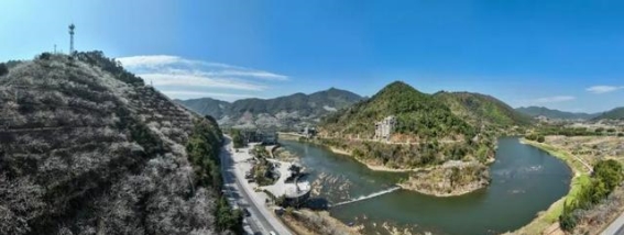 韶关的春雪：李花如雪，春天的浪漫约定