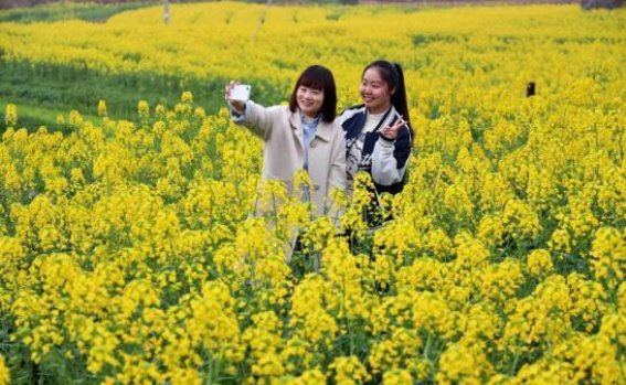 春光乍泄，安源赏花之旅