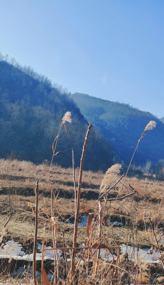 冬日的天鹅湖，前咀子水库的静谧与美丽