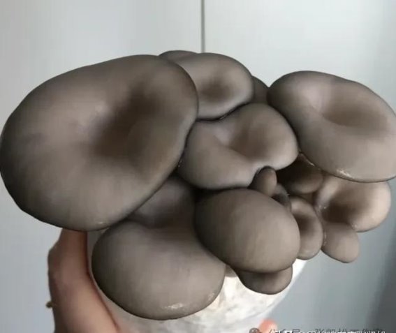 甲减最容易治，看看你属于哪种类型？
